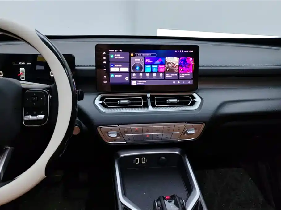 Haval H5 2023 2.0T Automatic AWD Leading Elite Gasoline фото 13