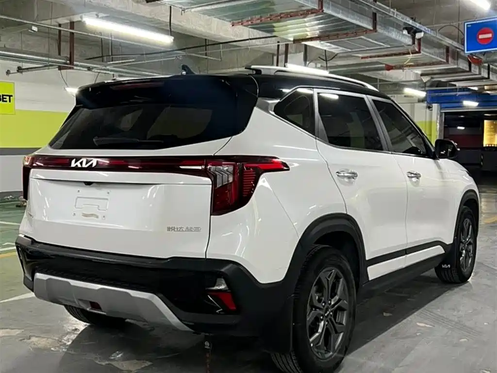 Kia Seltos 2023 1.5L CVT Luxury Edition фото 6