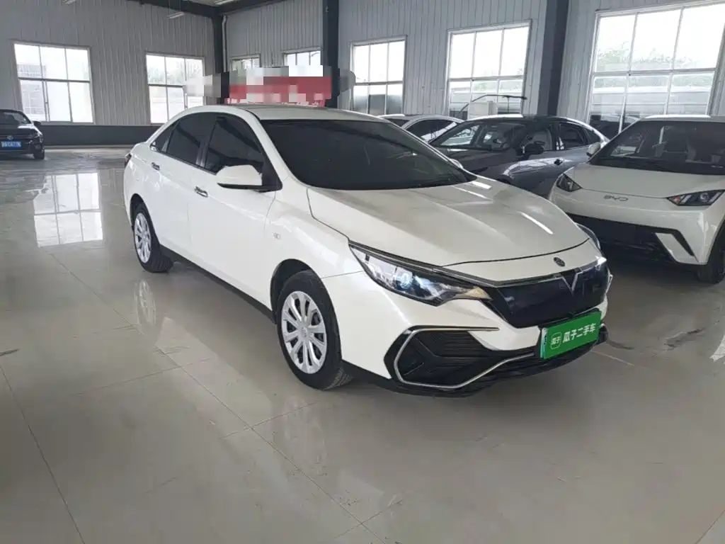Venucia D60EV 2022 2020 Standard Range Smart Edition