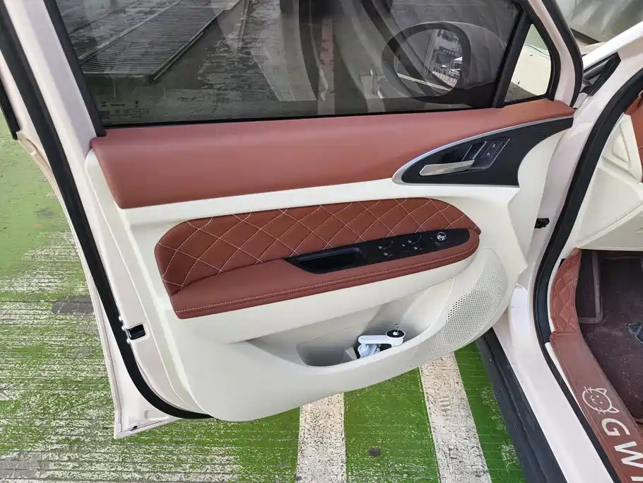Ora Good Cat 2025 2024 401km Luxury