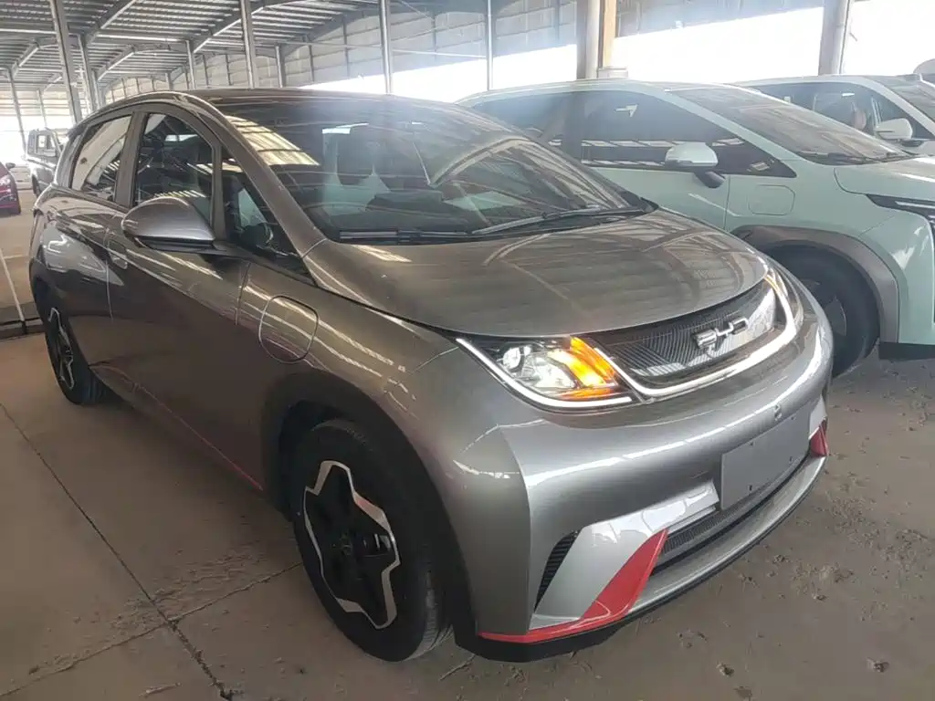 Фото 4 - BYD Dolphin
