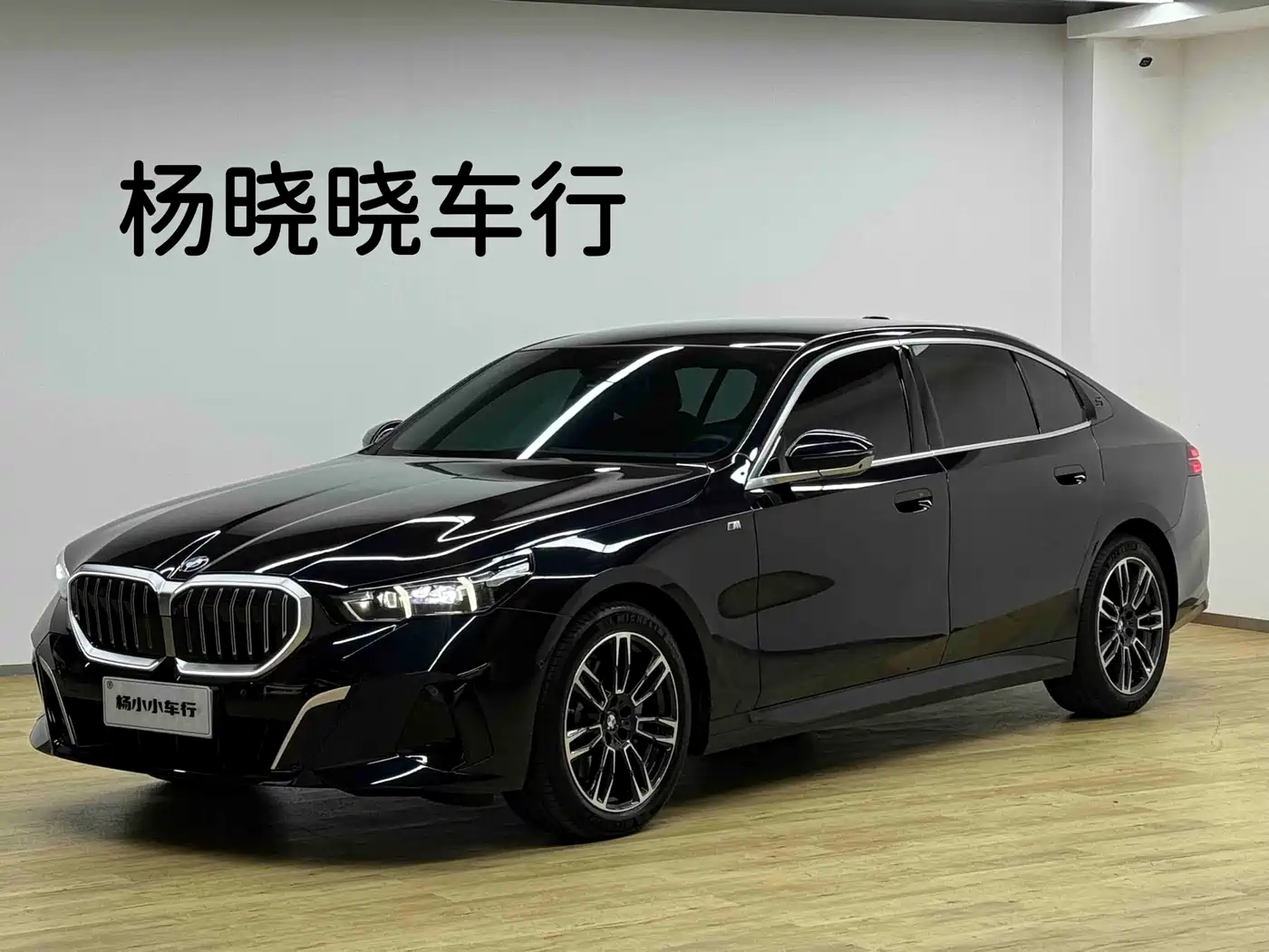 BMW 5 Series 2024 530Li Leading M Sport Package