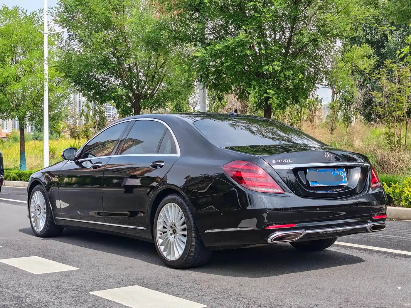Mercedes-Benz S-Class 2020 S 350 L Business Edition Collector's Version фото 26