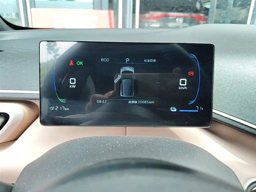 BYD Seagull 2025 305km Freedom фото 12
