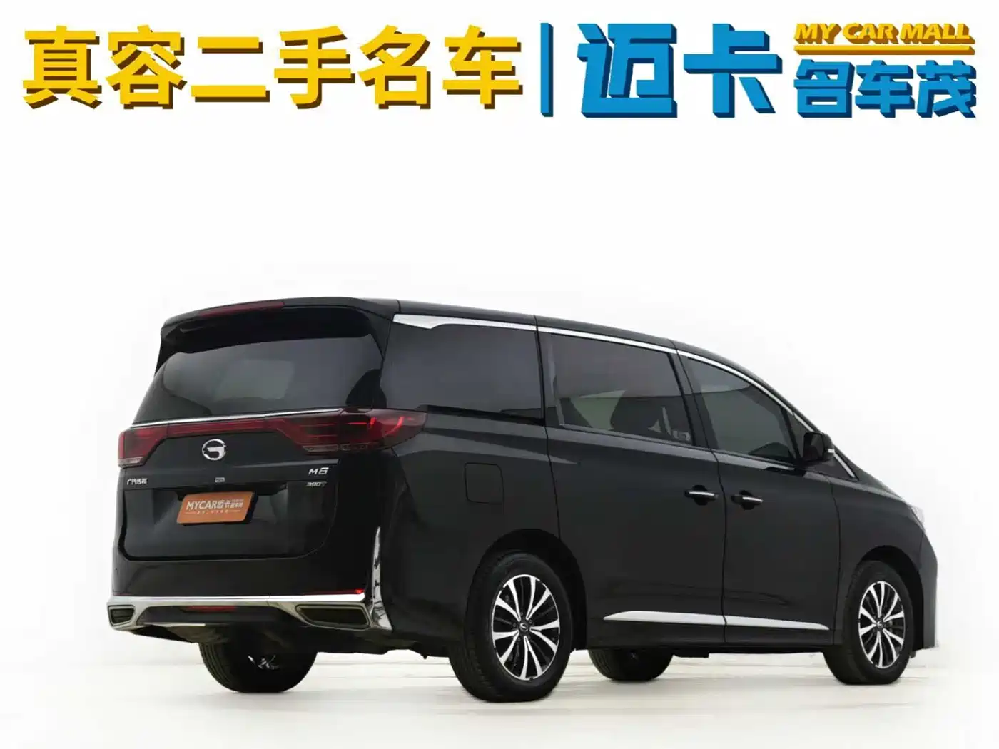 GAC Trumpchi Trumpchi M8 2023 Leading Series 390T Premium Edition фото 13