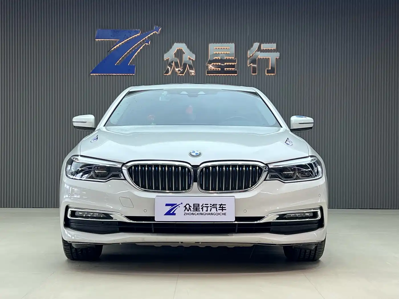 BMW 5 SERIES NEW ENERGY