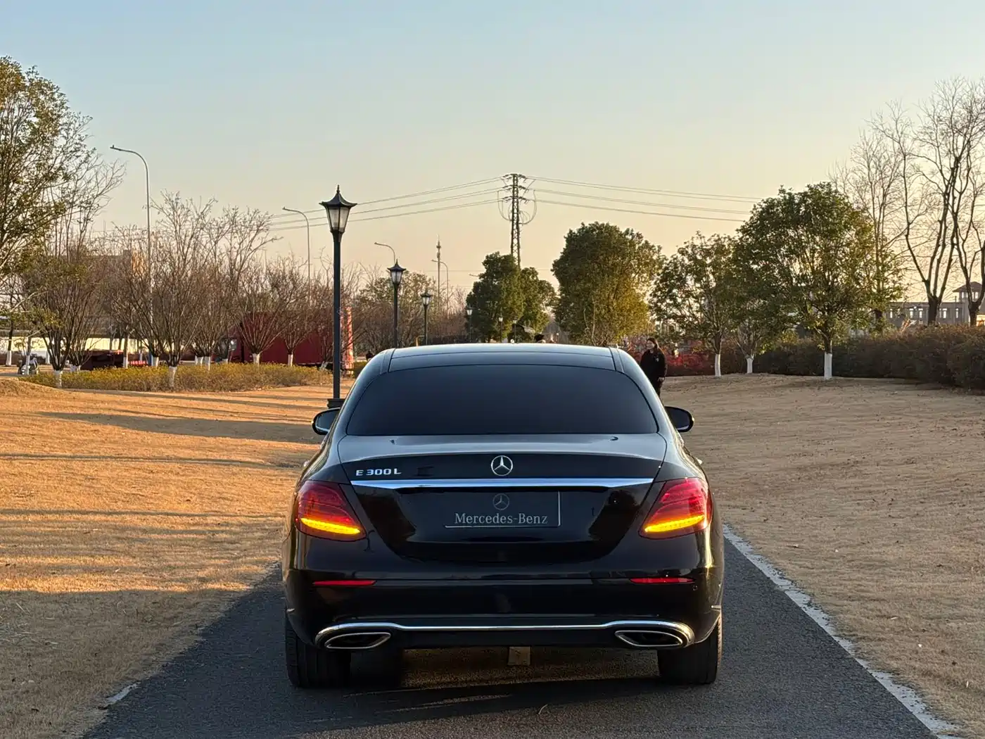 Mercedes-Benz E-Class 2019 Facelift E 300 L Luxury фото 8