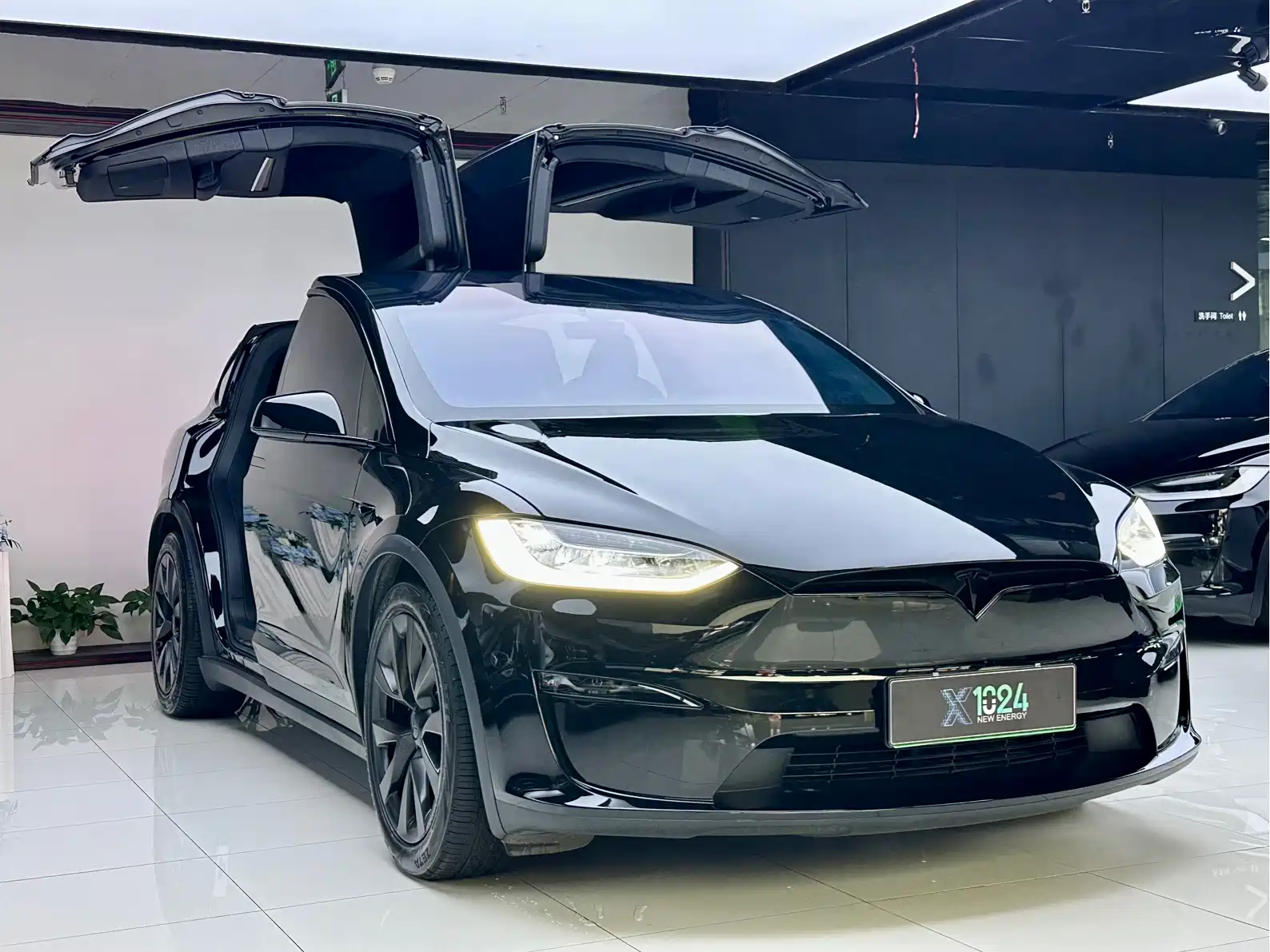 Фото 3 - Tesla Model X
