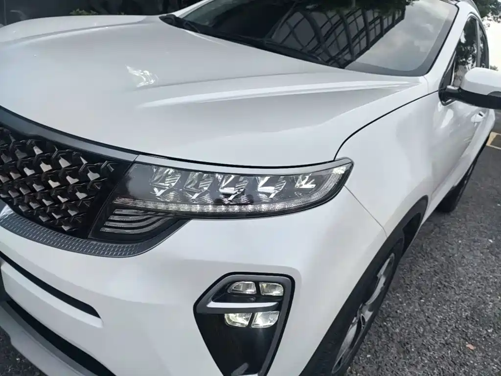 Kia KX5 2020 2019 1.6T Automatic 2WD Luxury Edition