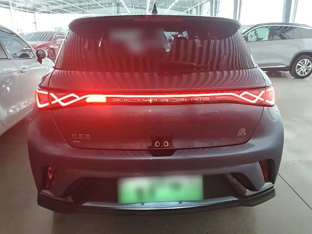 BYD Dolphin 2023 401km Knight Edition фото 6