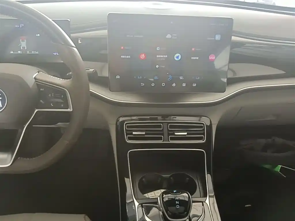 BYD Qin PLUS 2023 Champion Edition DM-i 120KM Excellence фото 13