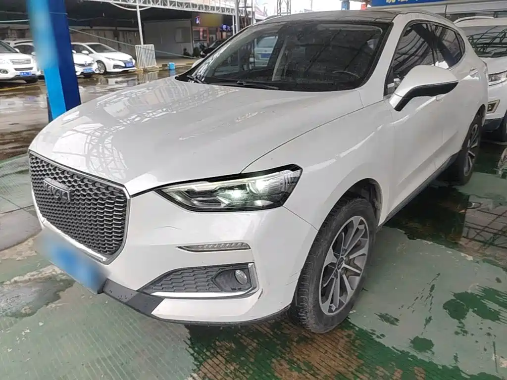Haval F5 2019 2019 National Trend Edition 1.5T iTrend China VI