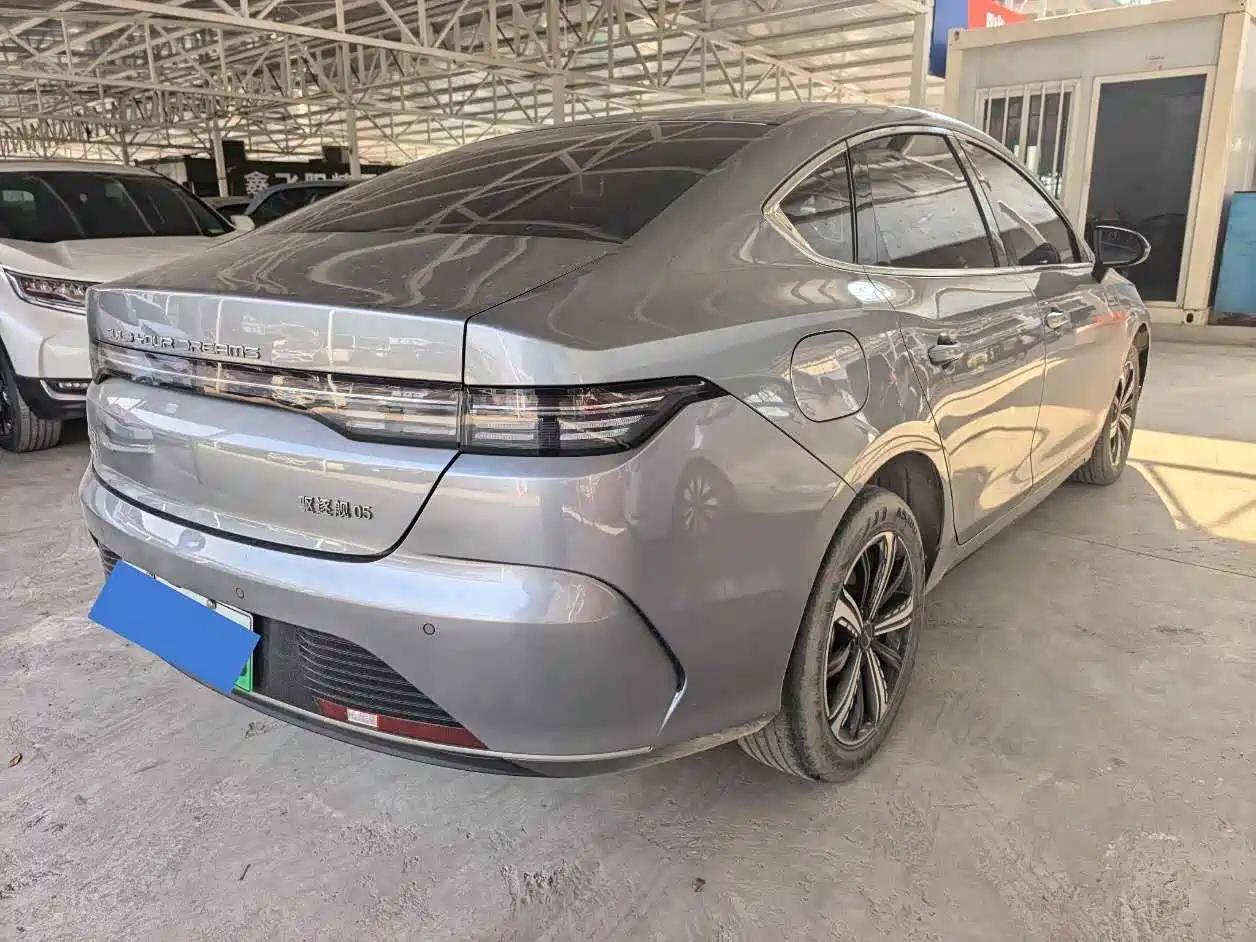 BYD Destroyer 05 2023 Champion Edition DM-i 120KM Premium фото 11