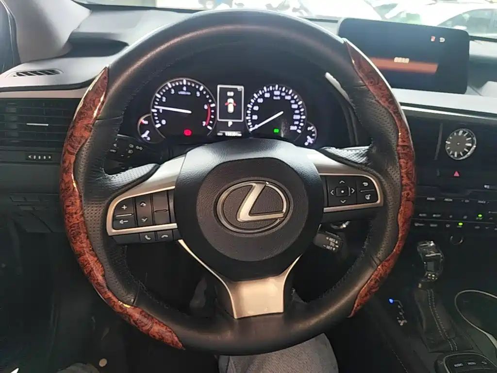 Фото 11 - Lexus RX