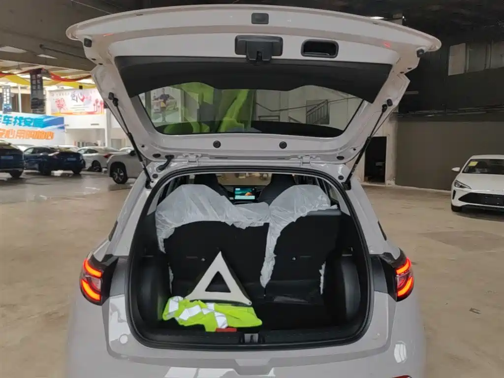 Geely Galaxy Starry Wish 2026 Edition 310km Youth Version фото 19
