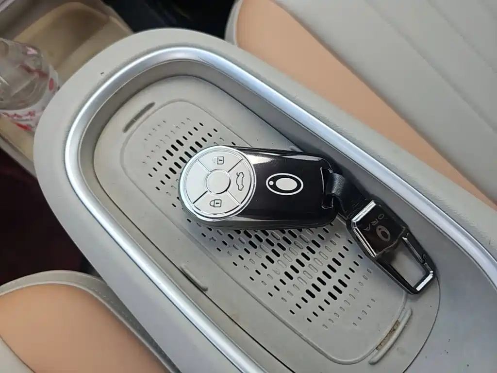 Ora Good Cat 2024 2024 401km Luxury