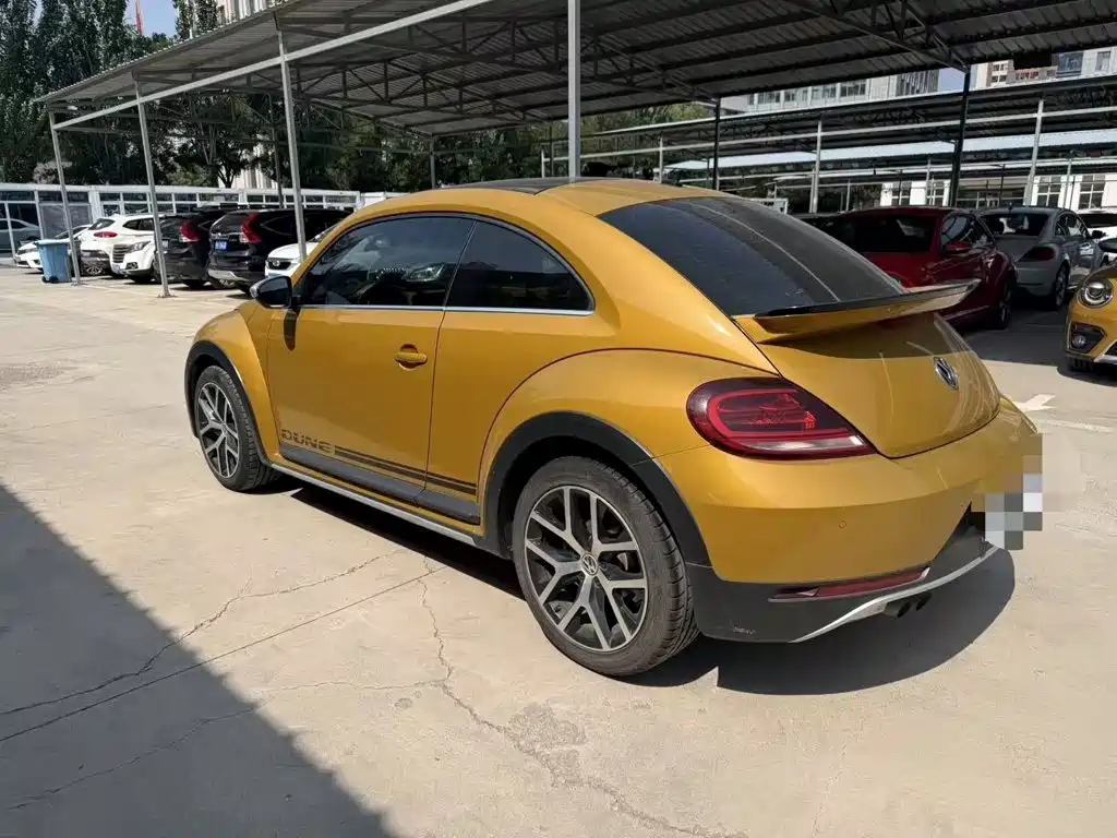 Фото 10 - Volkswagen Beetle