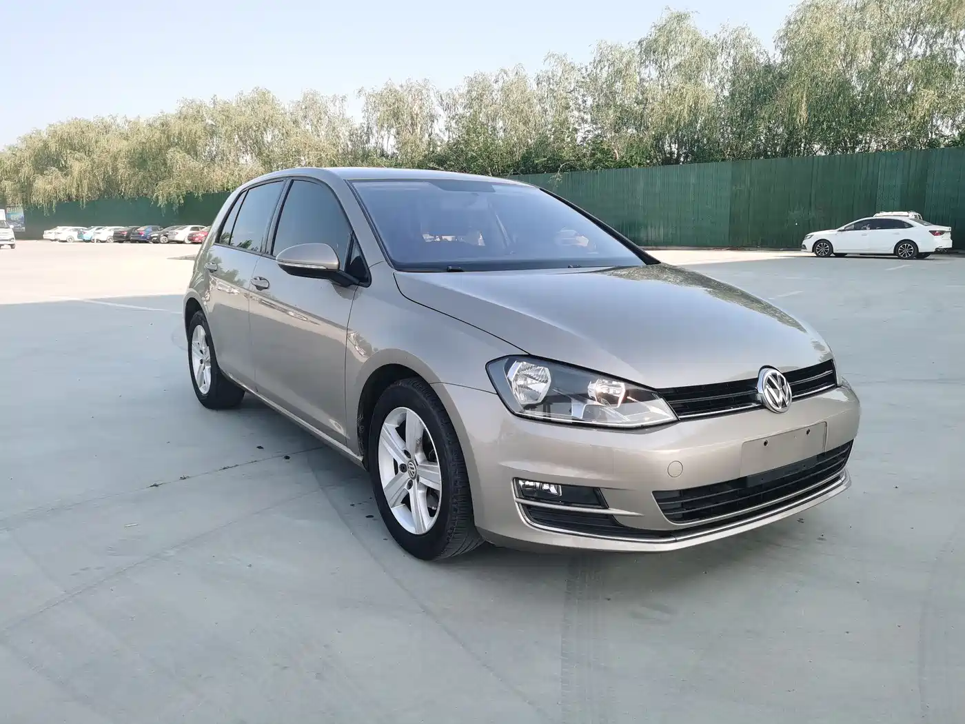 Volkswagen Golf 2016 1.6L Manual Fashion фото 3