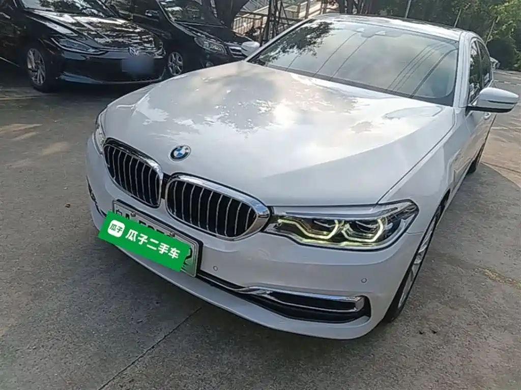 BMW 5 Series New Energy 2020 530Le Luxury Package фото 2