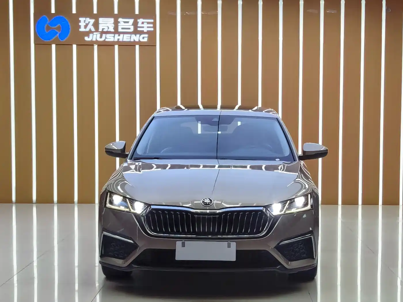 Škoda Octavia 2021 PRO TSI280 DSG Premium Edition фото 2