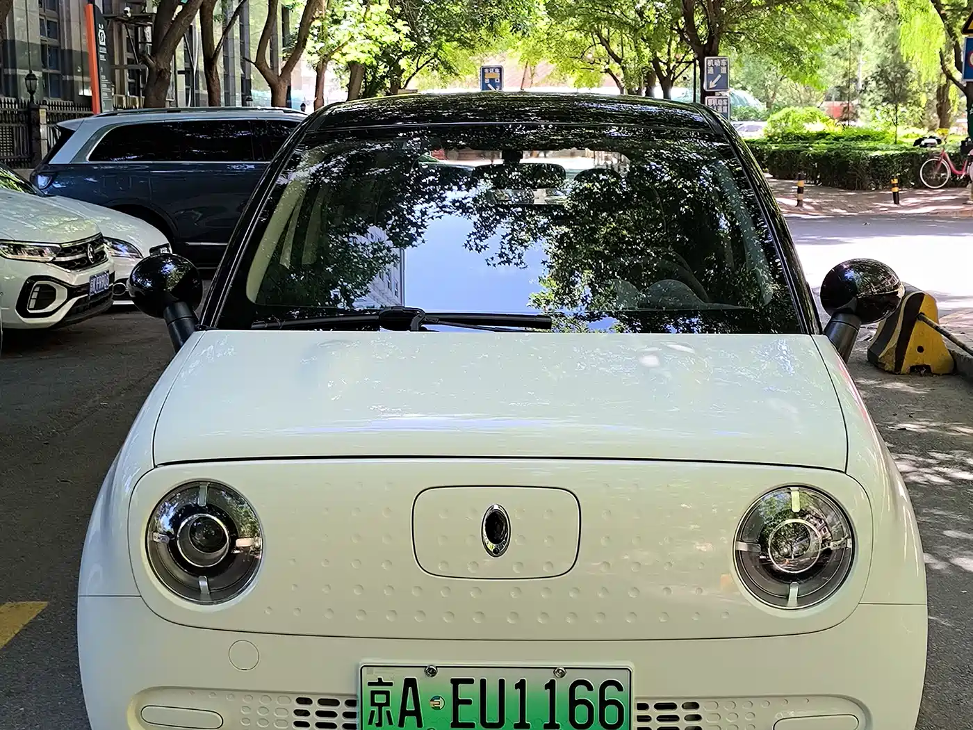Ora Black Cat 2019 2019 Model 351km Smart Fun Edition