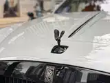 Фото 6 - Rolls-Royce Wraith