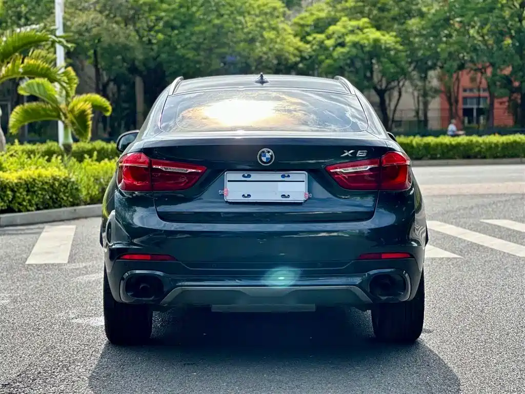 BMW X6 2015 xDrive35i Leading Type фото 9