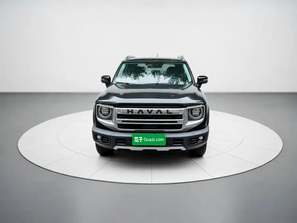 Haval Big Dog 2025 2024 1.5T DCT Border Collie Edition
