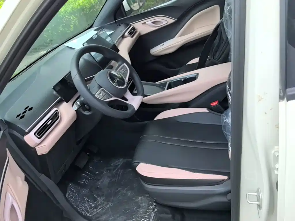 BYD Seagull 2026 2025 Smart Drive Edition 305km Vitality Version