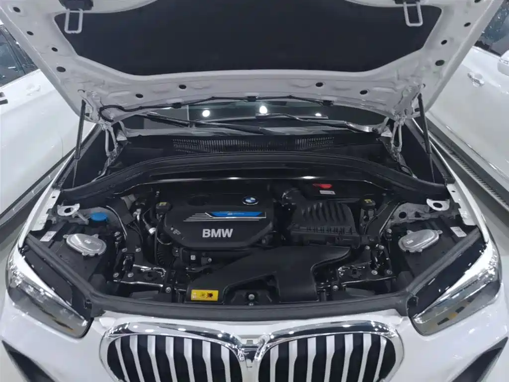 BMW X1 New Energy 2020 xDrive30Le Premium Edition фото 20