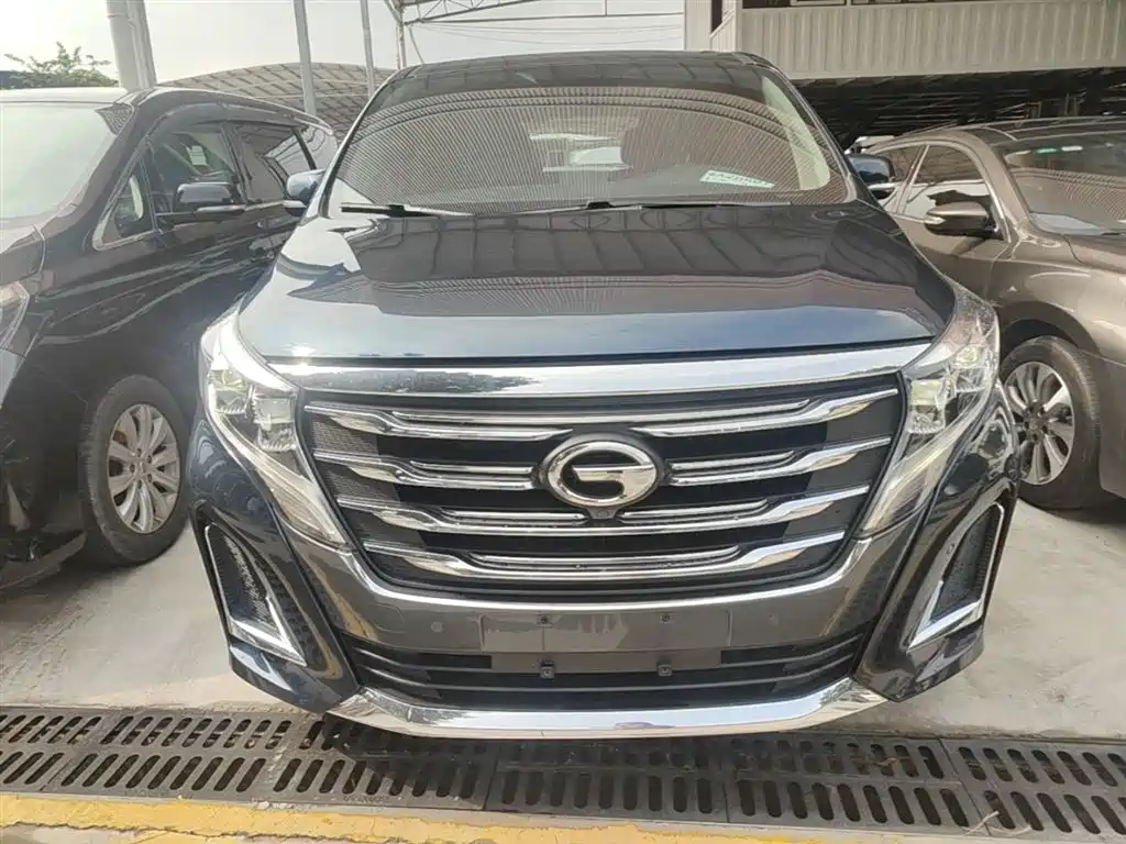 GAC Trumpchi Trumpchi M8 2020 Pilot 390T Prestige Edition фото 3