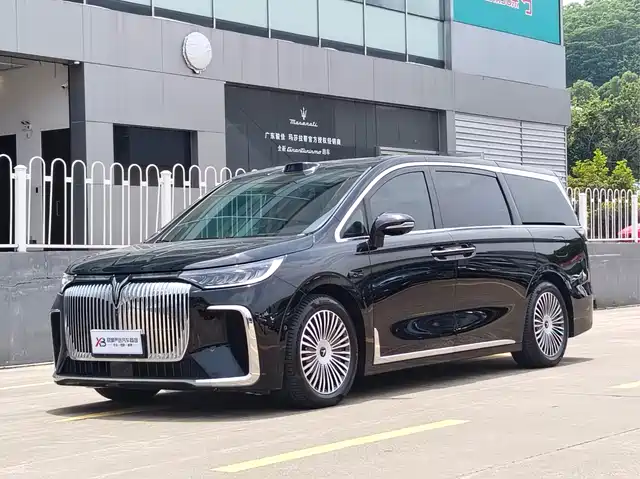Voyah Auto Voyah Dreamer 2025