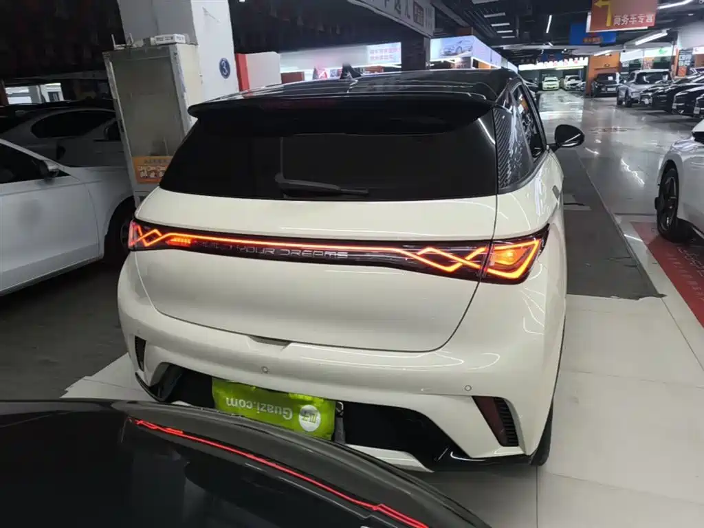 BYD Dolphin 2023 420km Fashion Edition фото 6