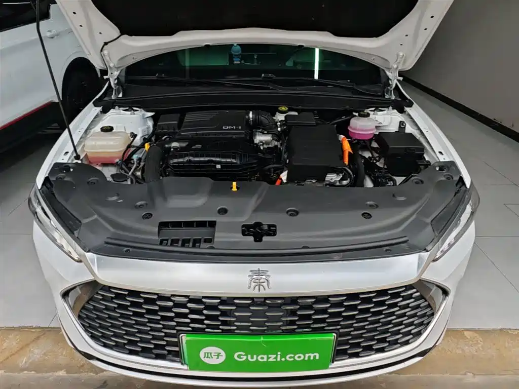 BYD Qin PLUS 2024 Glory Edition DM-i 120KM Surpass фото 20