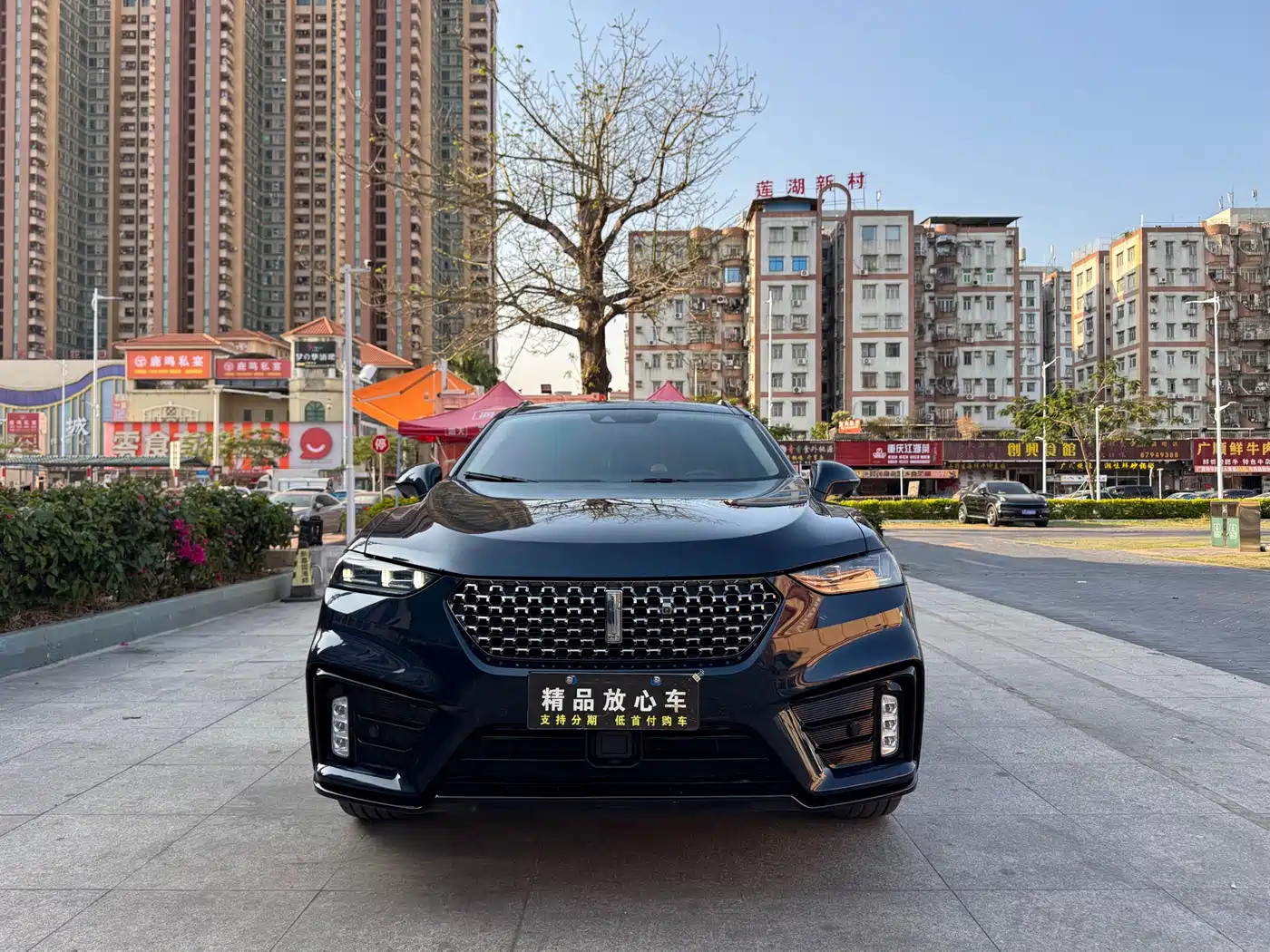 WEI PAI WEI BRAND VV7