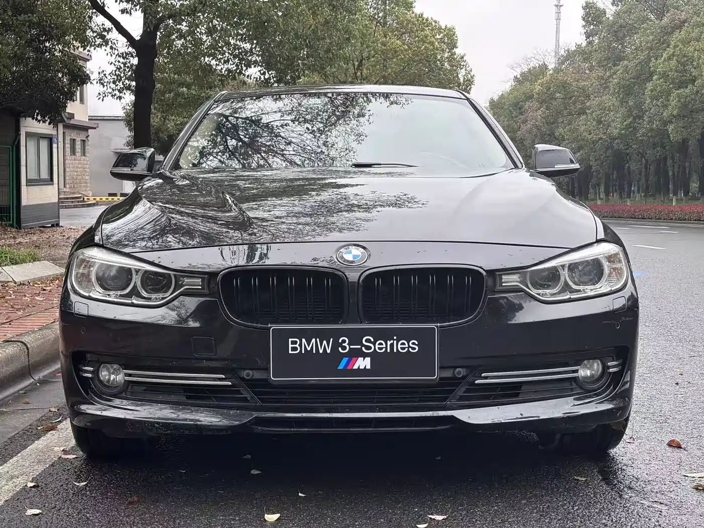 BMW 3 Series 2013 Facelift 320Li Luxury Design Package фото 2