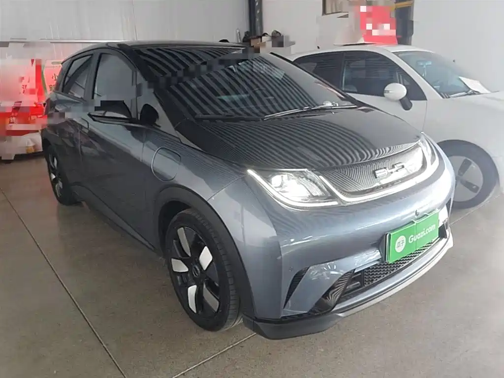 BYD Dolphin 2023 401km Knight Edition фото 4