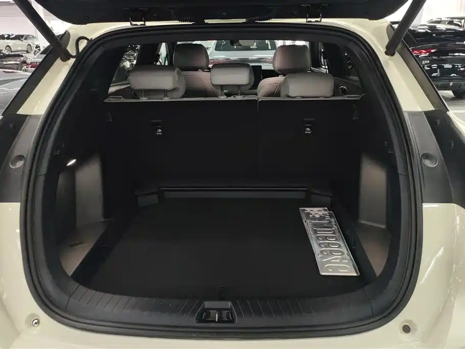 BYD Sealion 06 New Energy 2025 Model EV 520 Pilot Edition фото 4