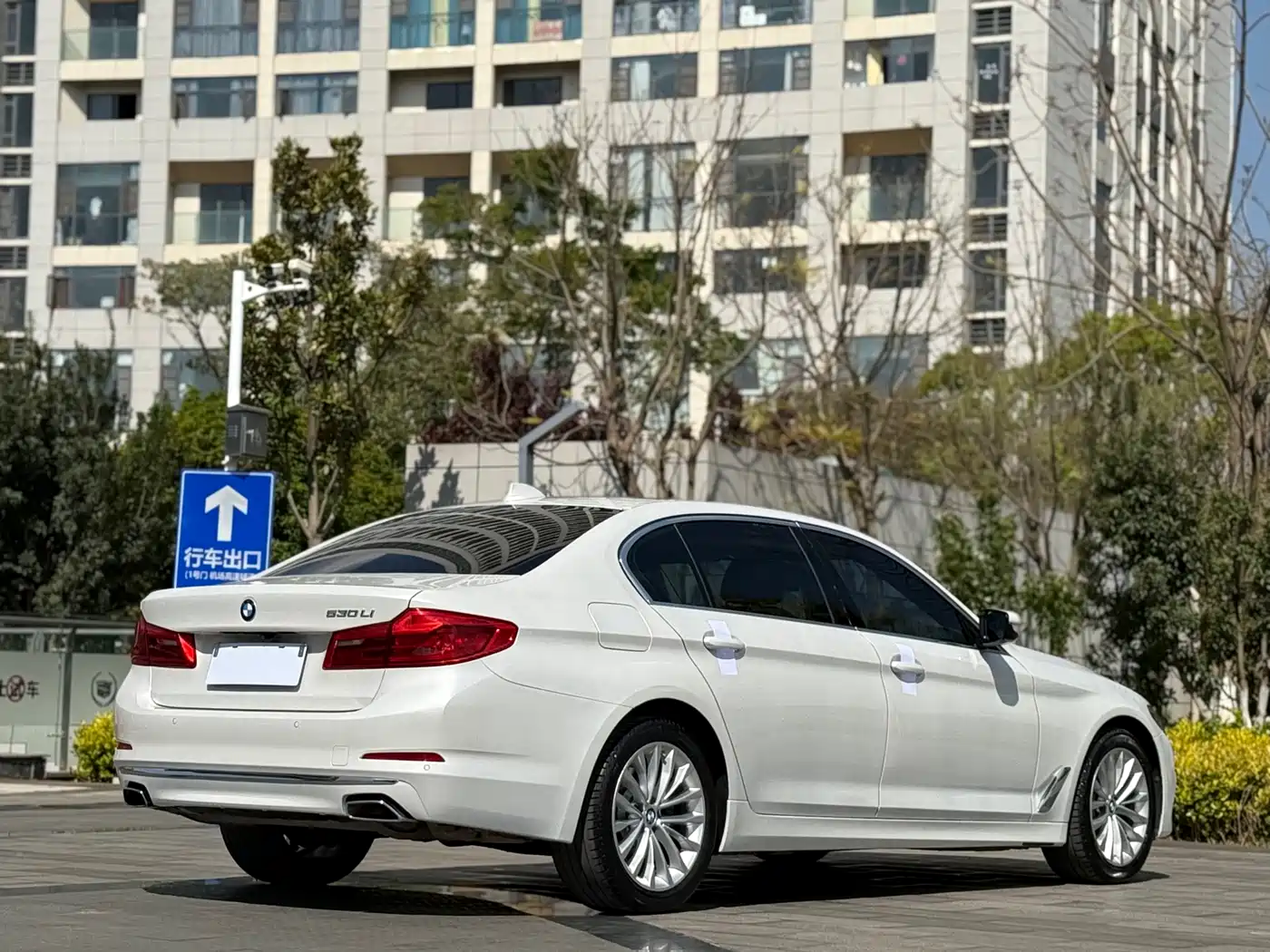 BMW 5 Series 2019 530Li Leading Luxury Package фото 7