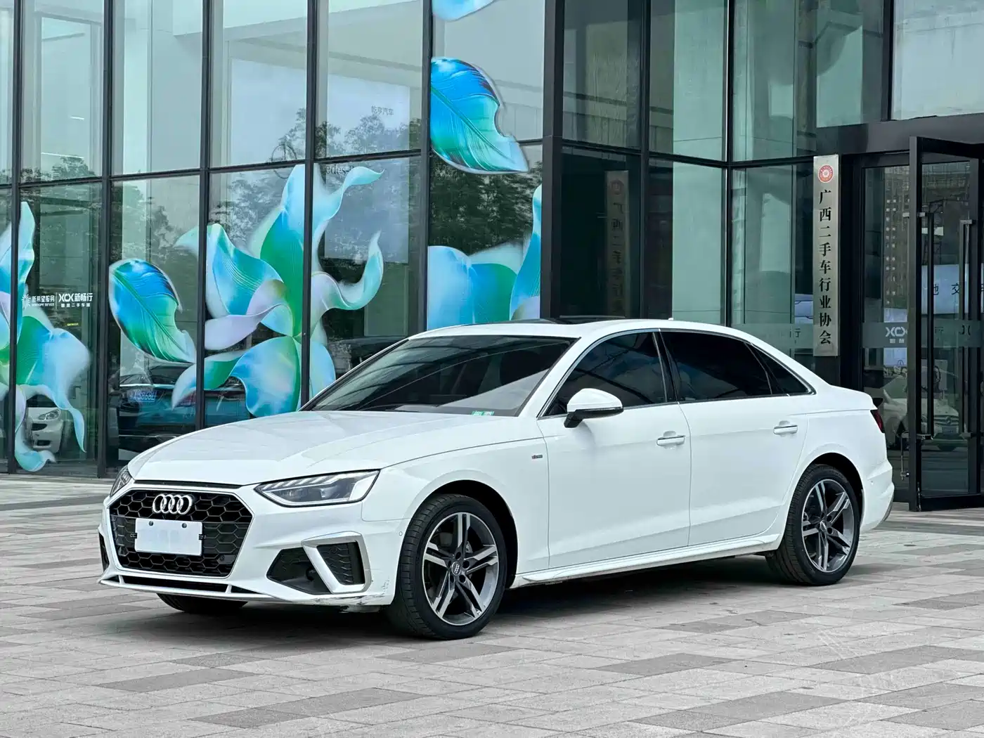 Audi A4L 2020 40 TFSI Luxury Dynamic