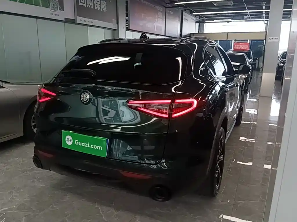 Alfa Romeo Stelvio 2021 2020 2.0T 280HP Luxury Edition