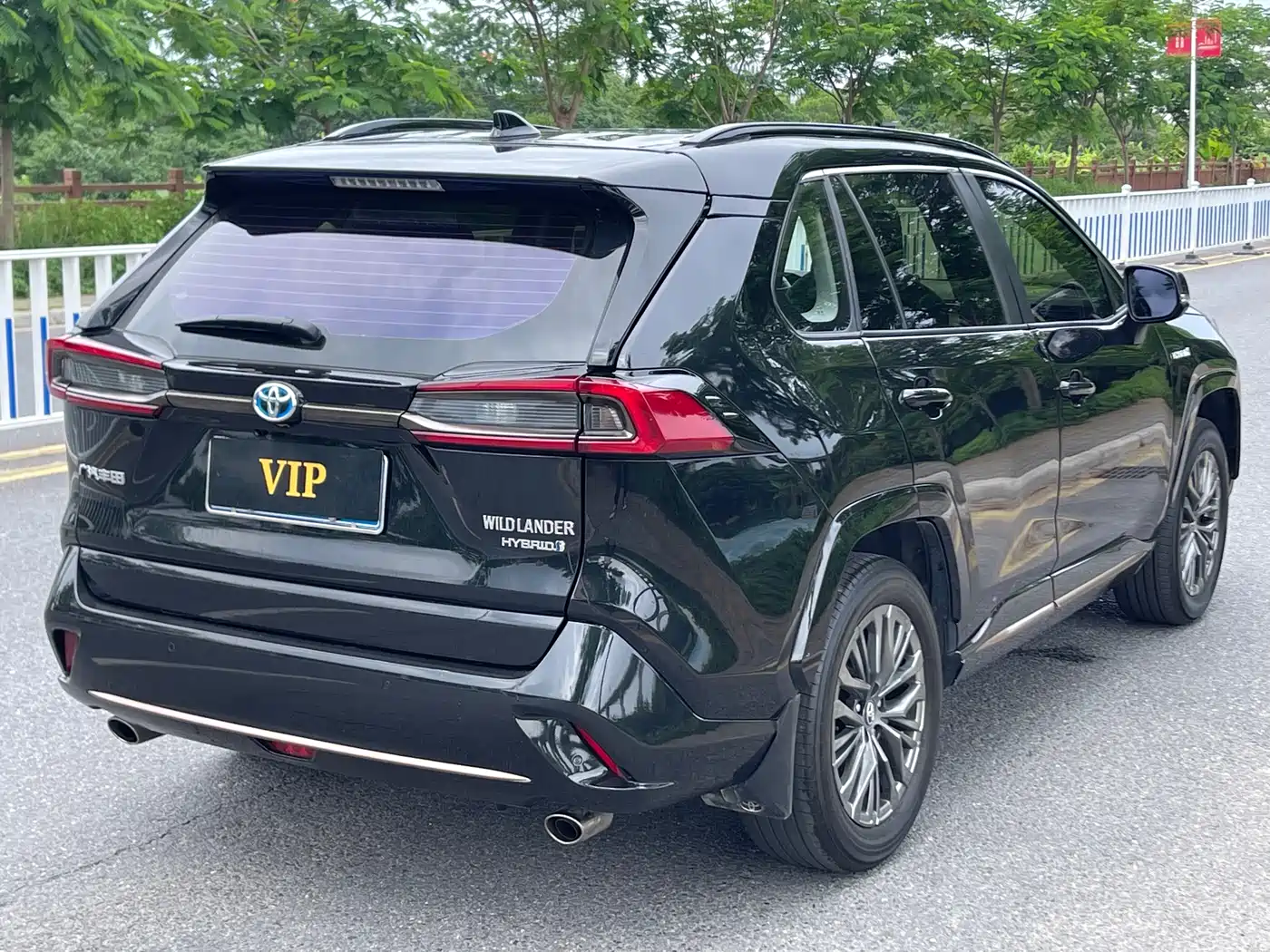 Toyota Wildlander 2024 Hybrid 2.5L E-CVT FWD Luxury PLUS Edition фото 4