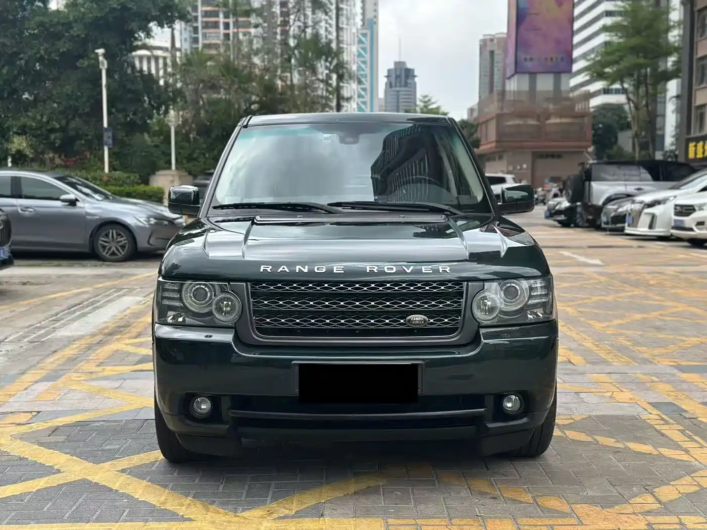 Land Rover Range Rover 2011 3.6 TDV8 фото 2