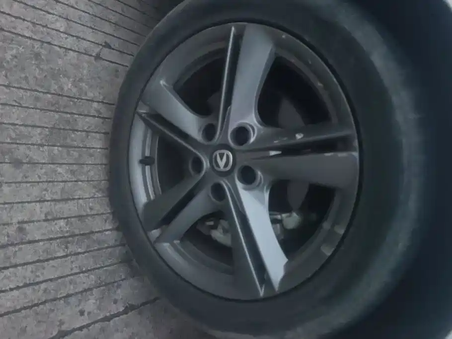 Changan Ruicheng PLUS 2023 2023 1.5T DCT Premium