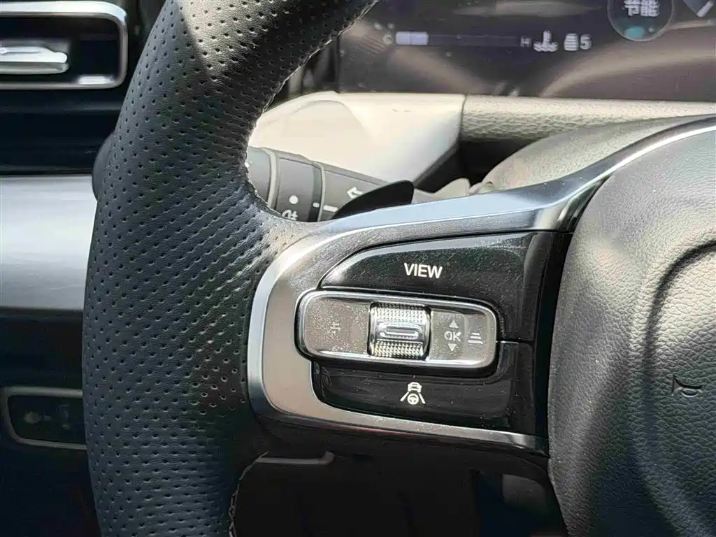 GAC Trumpchi Trumpchi GS8 2022 Pilot Series 2.0TGDI 2WD Luxury Smart Connect Edition (7-Seater) фото 22