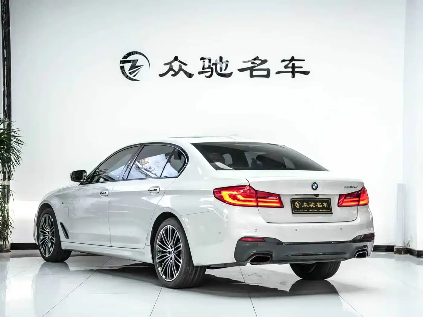 BMW 5 Series 2018 530Li Leading M Sport Package фото 12