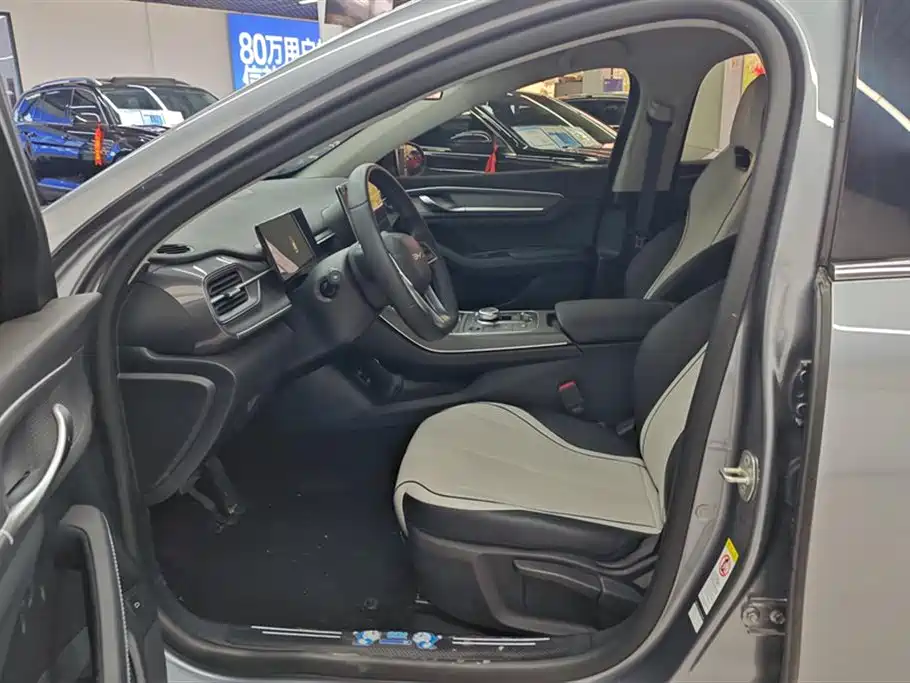 BYD Destroyer 05 2024 Glory Edition DM-i 55KM Luxury фото 9