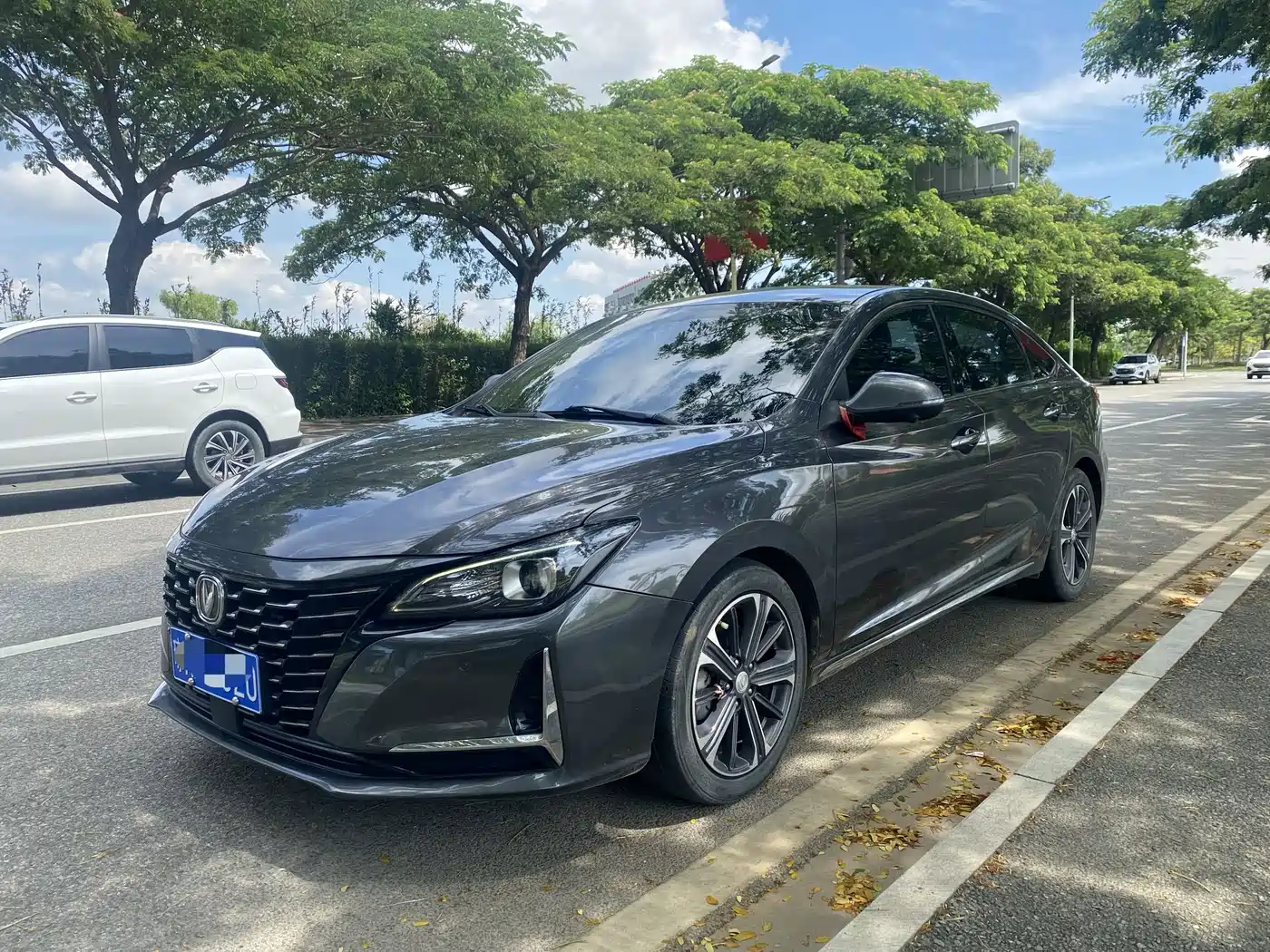 Changan Ruicheng CC 2021 2022 Blue Whale Edition 1.5T DCT Premium