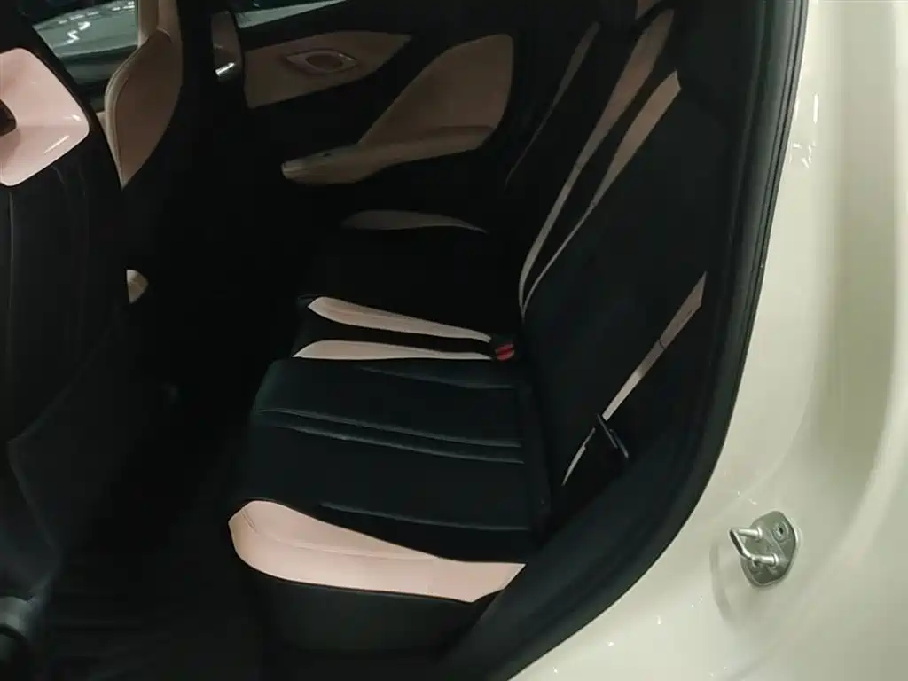 BYD Seagull 2025 305km Vitality фото 17