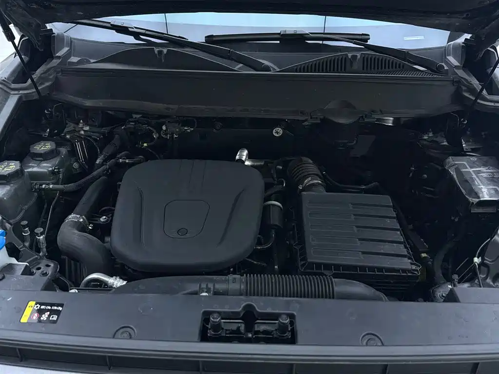 HAVAL RAPTORS NEW ENERGY